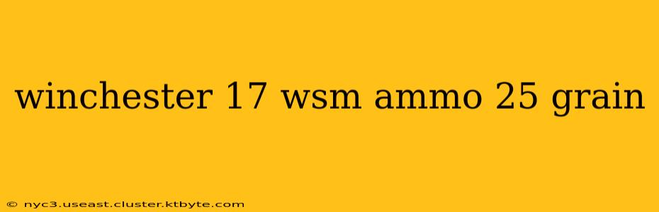 winchester 17 wsm ammo 25 grain