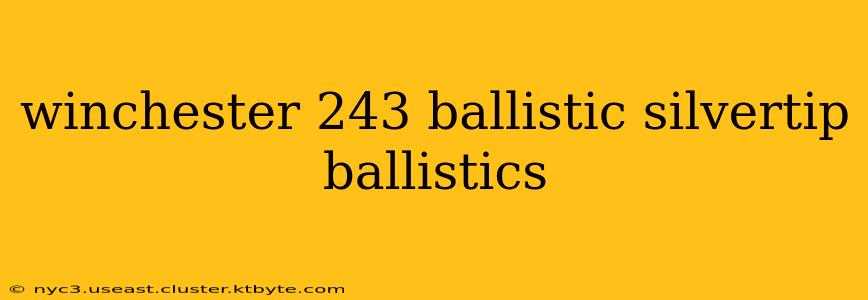 winchester 243 ballistic silvertip ballistics