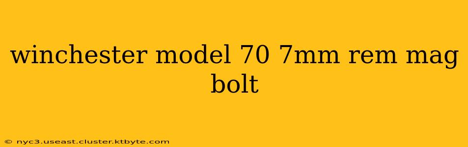 winchester model 70 7mm rem mag bolt