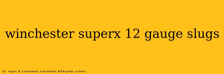 winchester superx 12 gauge slugs