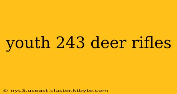 youth 243 deer rifles